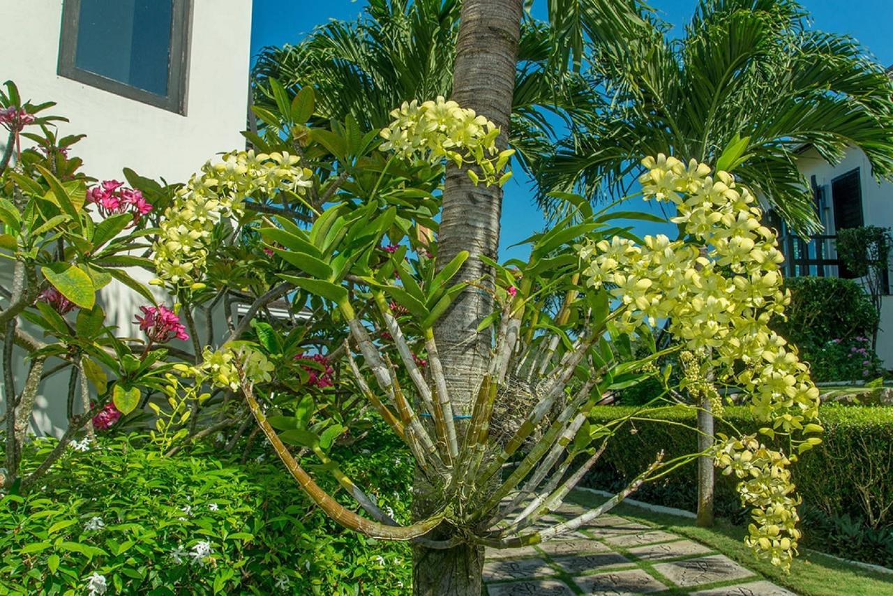 Luxury Villa Sleeps 6, Beach Access, Montego Bay Exterior foto